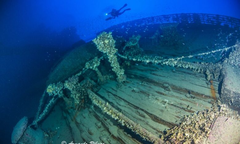 Kea opens spectacular shipwreck dive sites - Vema.com.au