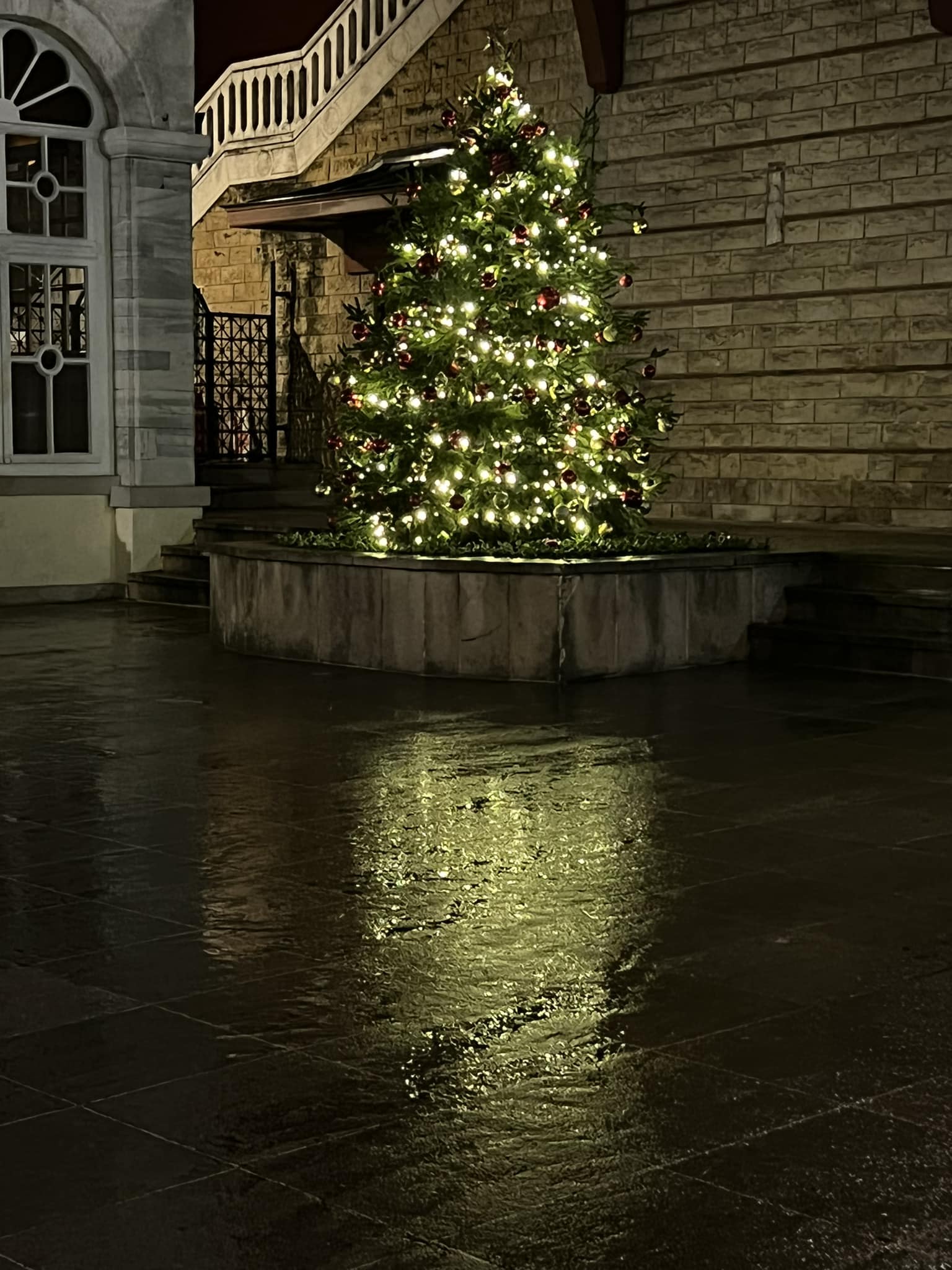 Decoration of the Christmas Tree in the courtyard of the Ecumenical Patriarchate